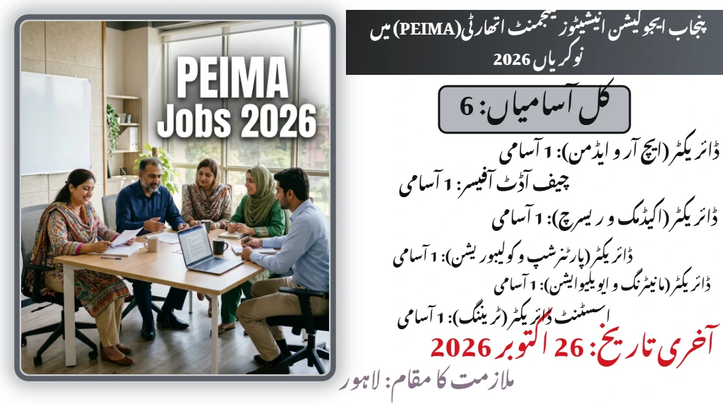 PEIMA Jobs 2026 for Director and Chief Audit Officer posts in Lahore