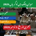 Meezan Bank Jobs 2026 Transaction Associates | Pakkhabar