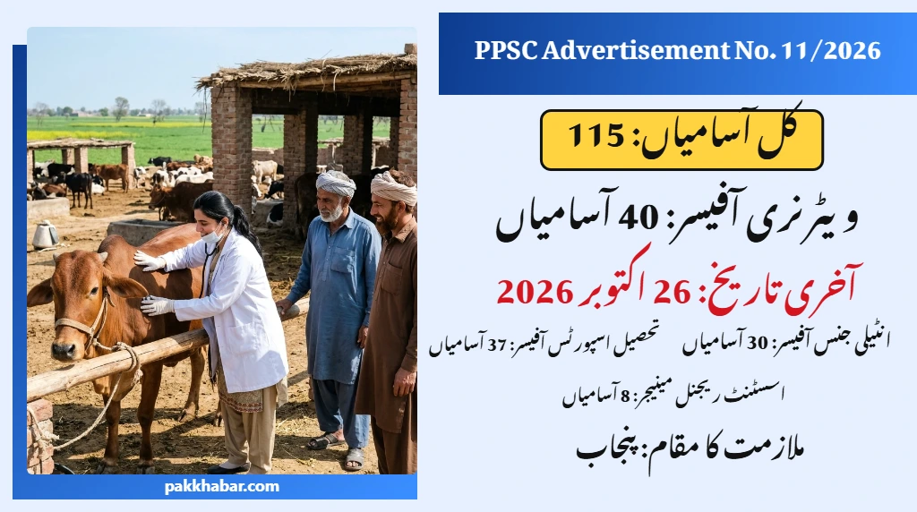 PPSC Jobs 2026 with 115 posts and last date 26 October 2026